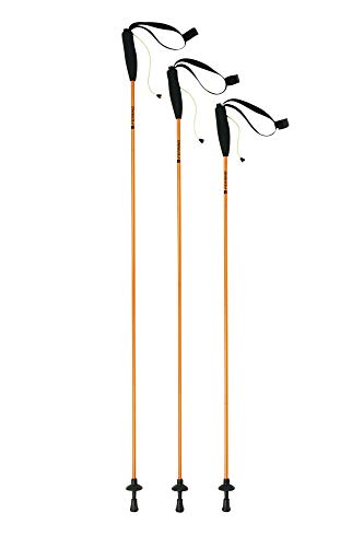 ferrino-eiger-bastoncini-da-trekking-pieghevoli-in-4-sezioni-unisex image 5