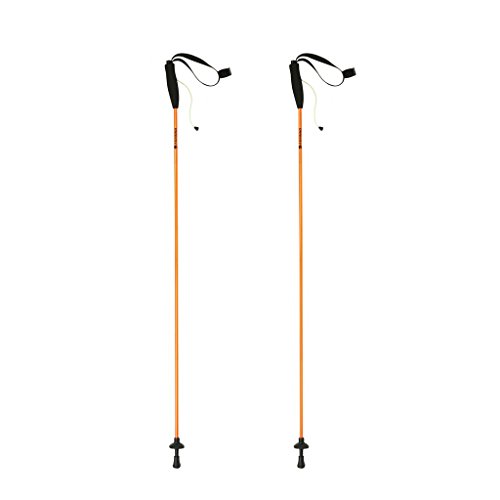 ferrino-eiger-bastoncini-da-trekking-pieghevoli-in-4-sezioni-unisex image 7