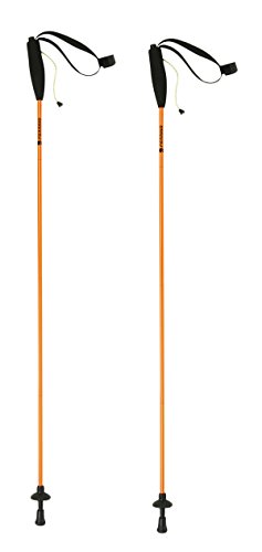 ferrino-eiger-bastoncini-da-trekking-pieghevoli-in-4-sezioni-unisex image 8