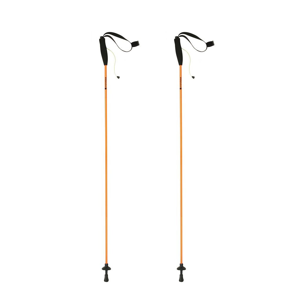 ferrino-eiger-bastoncini-da-trekking-pieghevoli-in-4-sezioni-unisex image 3